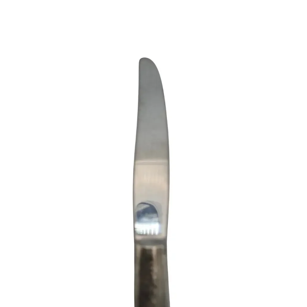 Vtg Tudor Oneida Queen Bess II Stainless Dinner Knife 9in 1946 Floral Pat Design